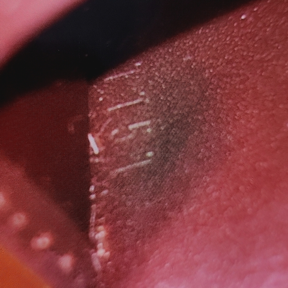 Louis Vuitton Deep Purple/Plum a Vernis key case - Picture 10 of 14